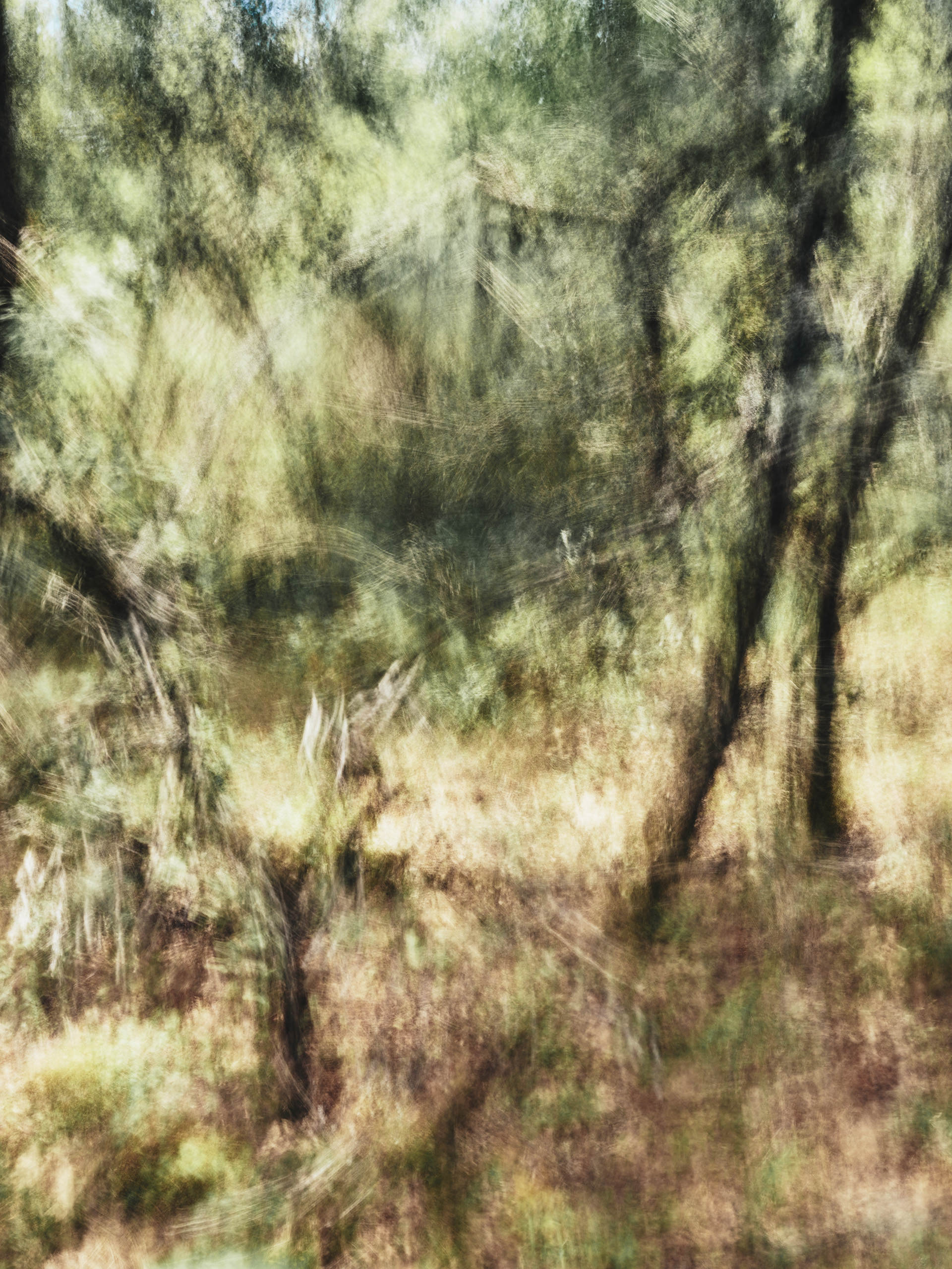 Ahp0078 AIQ4 010948 J2560